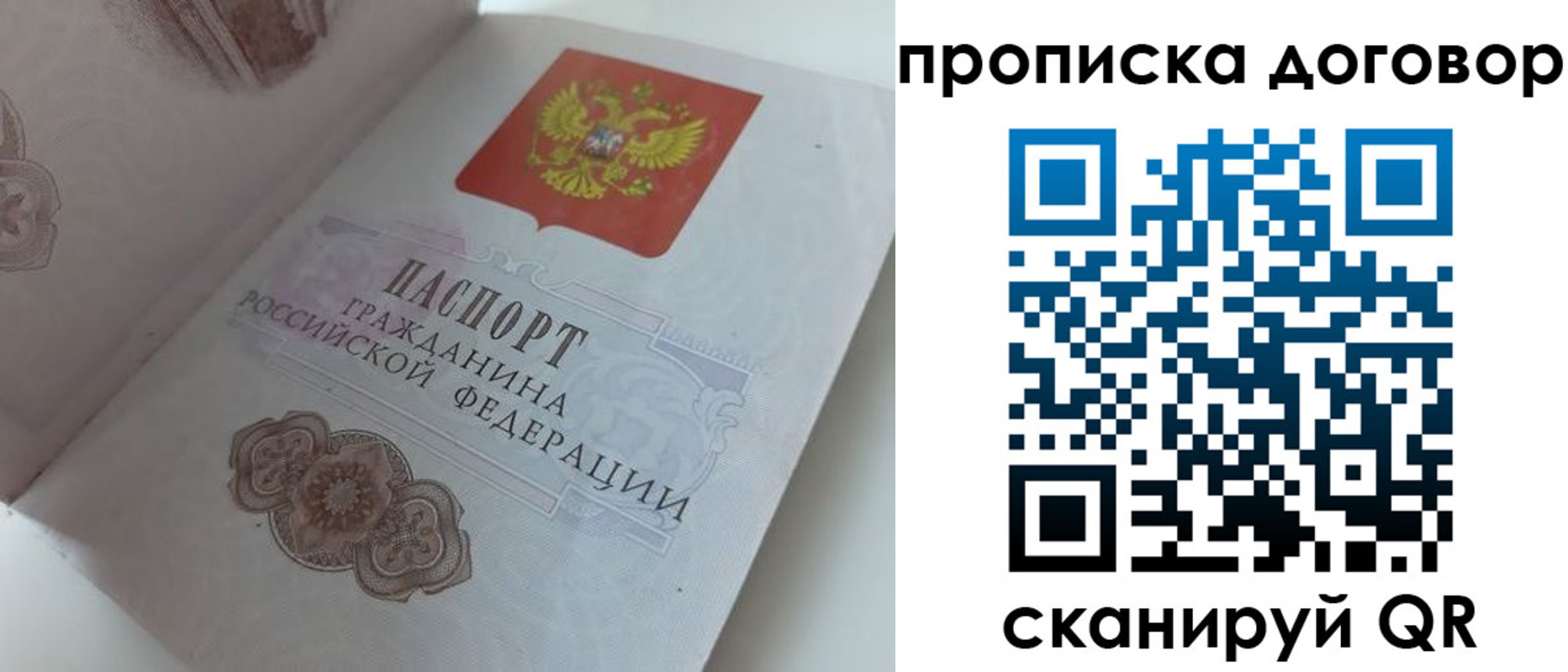 прописка поиск в Щиграх